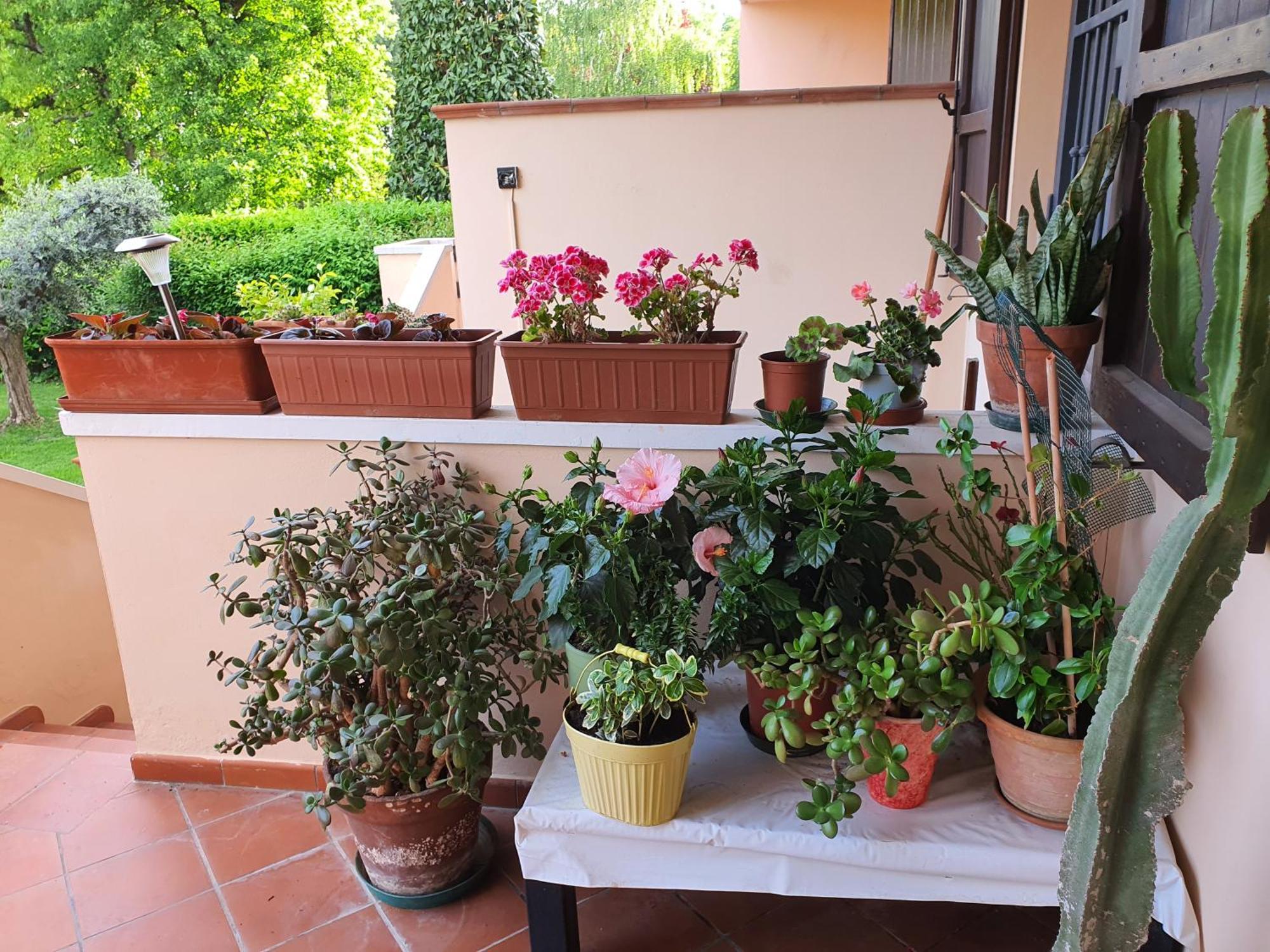 Villa Elsa, Cesena Zona Ippodromo Luaran gambar